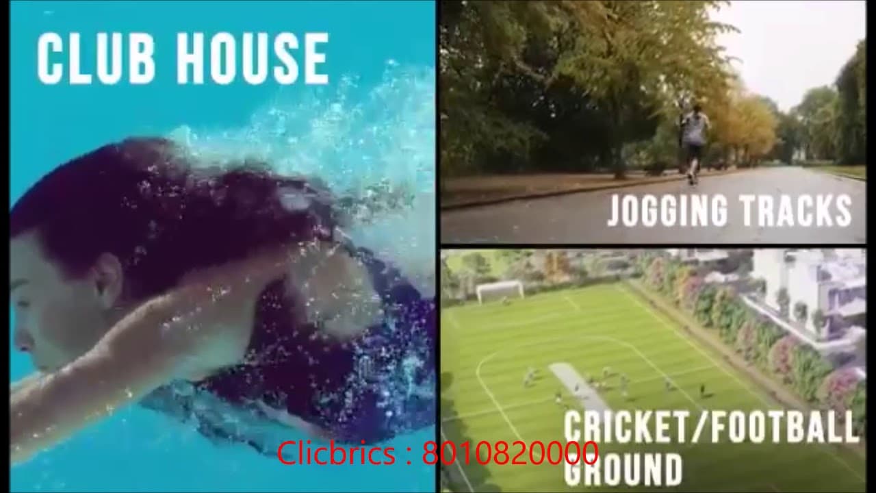 Videos