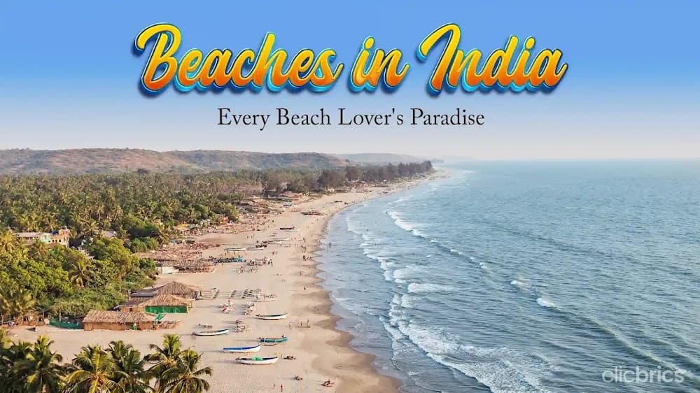 5 Best Beaches in India: From Juhu Beach to Chennai Beach