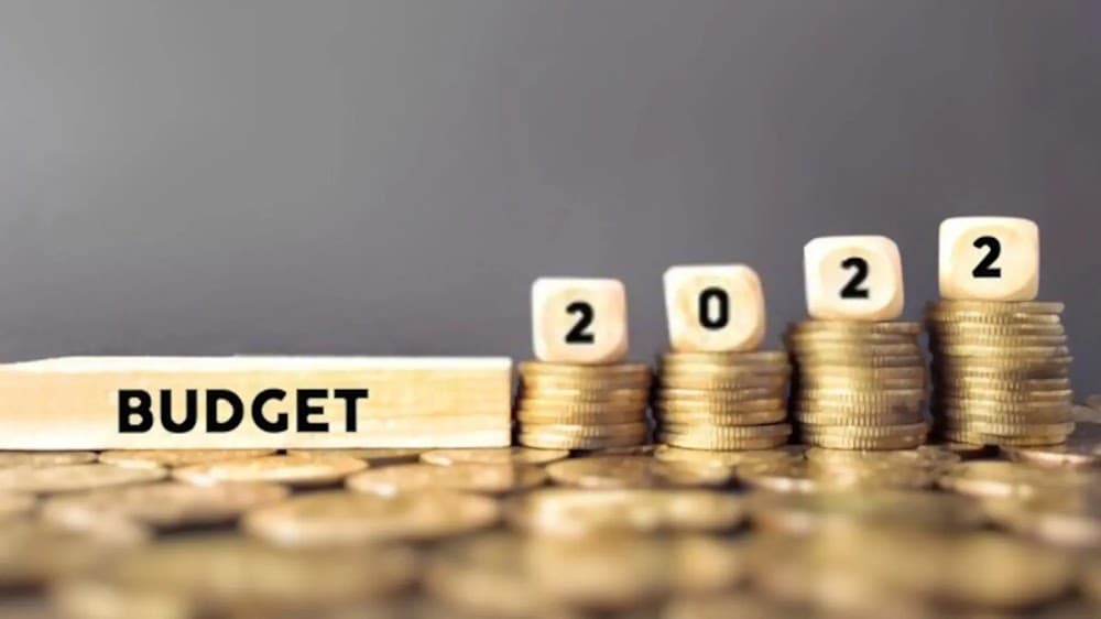 Union Budget 2022: Important Announcements