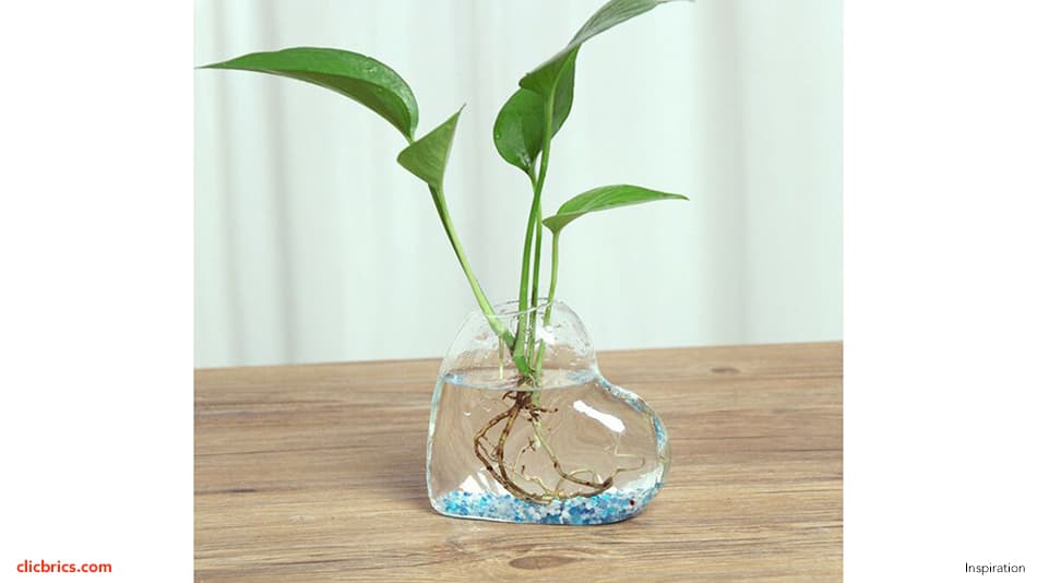 Style Your Plants With Glass Planters