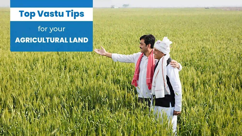 Top Vastu Tips For Your Agricultural Land