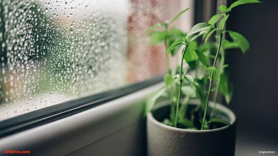 Home Decor Tips To Make The Most Of Rainy Days