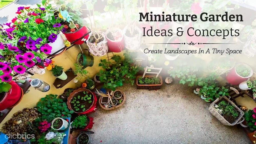14 Miniature Garden Ideas & Designs: Turn A Small Space Into A Green Heaven