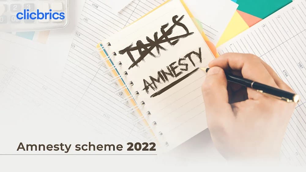 What is the Amnesty scheme 2022, and What Should You Know About It?