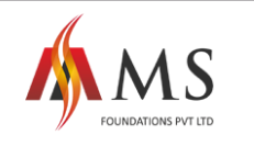 MS Foundation Private Limited