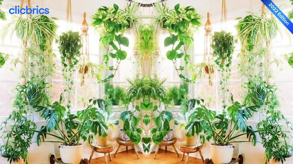 7 Interesting Ways To Style Houseplants in 2022