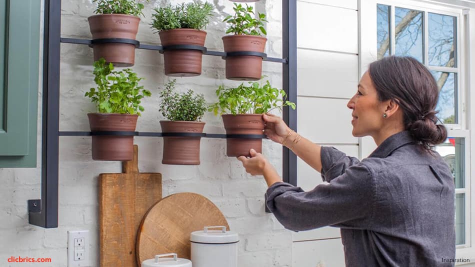 Become A Culinary Hero With Your Own Kitchen Herb Garden