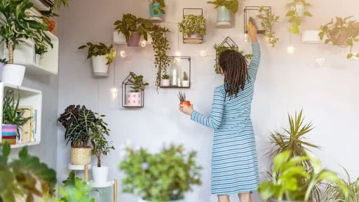 Indoor Plants that will Add Extra Greenery to Your Home