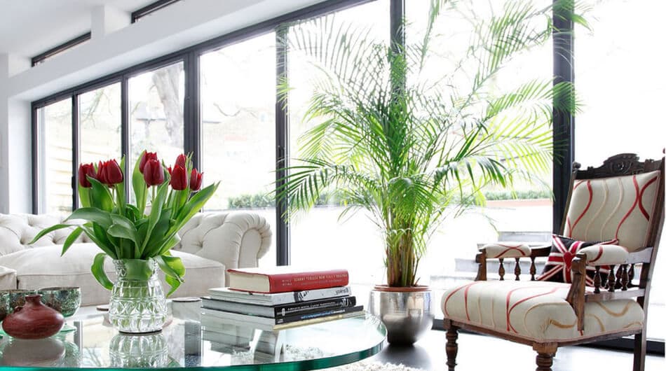 7 Inspiring Ways To Freshen Up Your Home Décor With Indoor Plants
