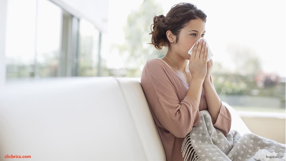 Tips To Allergy-Proof Your Home