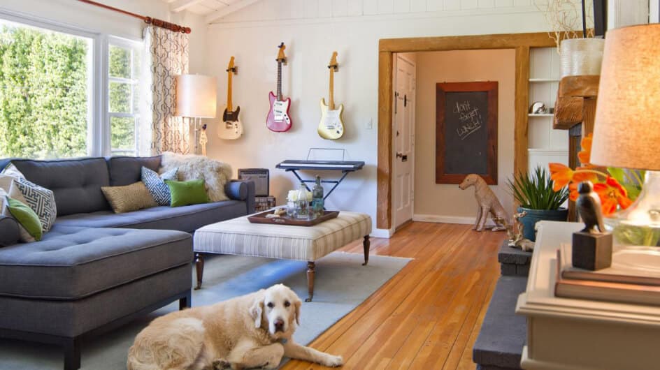 How to Create a Pet-Friendly Home in Low Budget